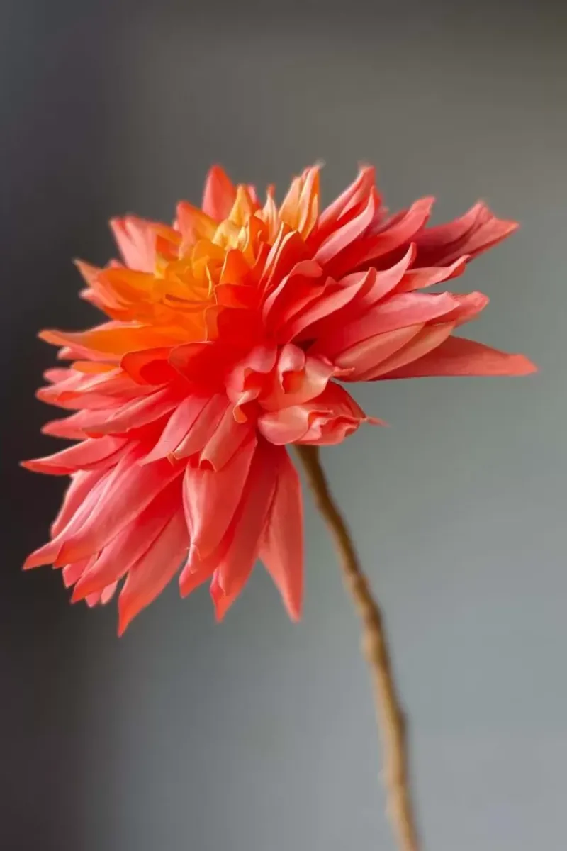 Pip Studio Kunstliche Blumen|Pip Kunstliche Blumen Sweet Symphony