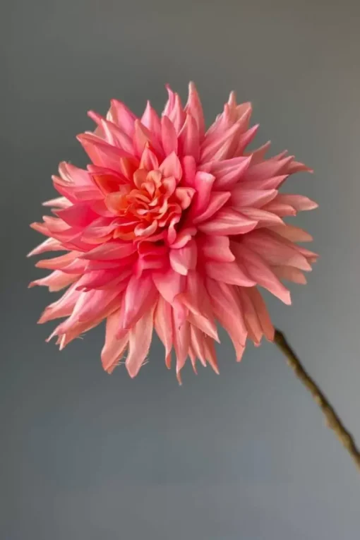 Pip Studio Kunstliche Blumen|Pip Kunstliche Blumen Vanilla Bloom